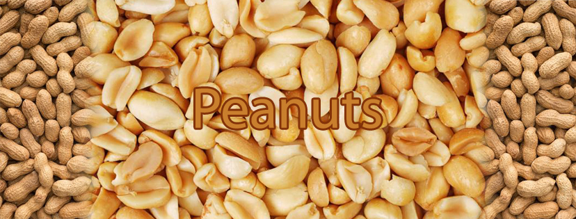 Different Uses Of Peanuts