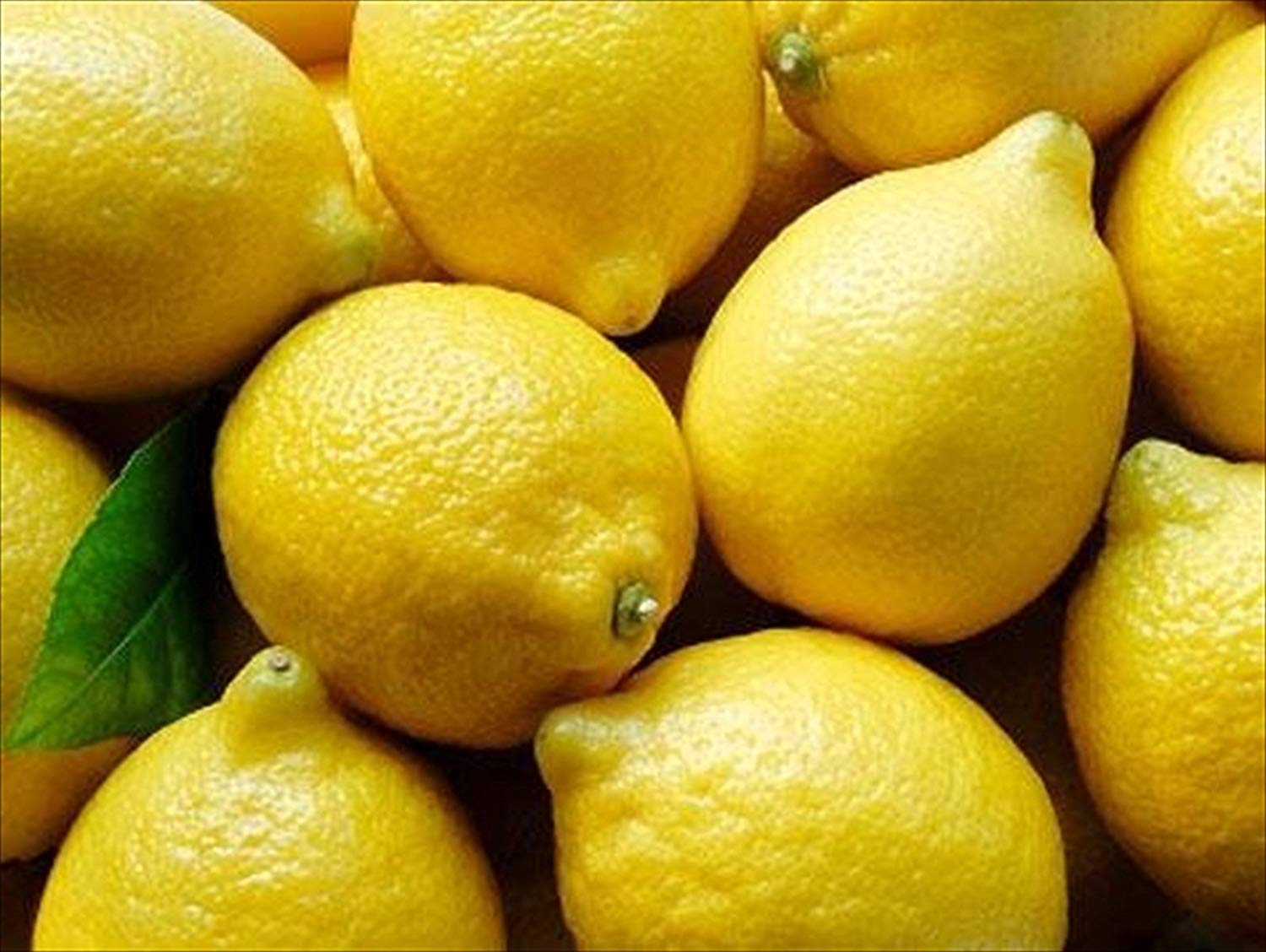 Natural Yellow Lemon