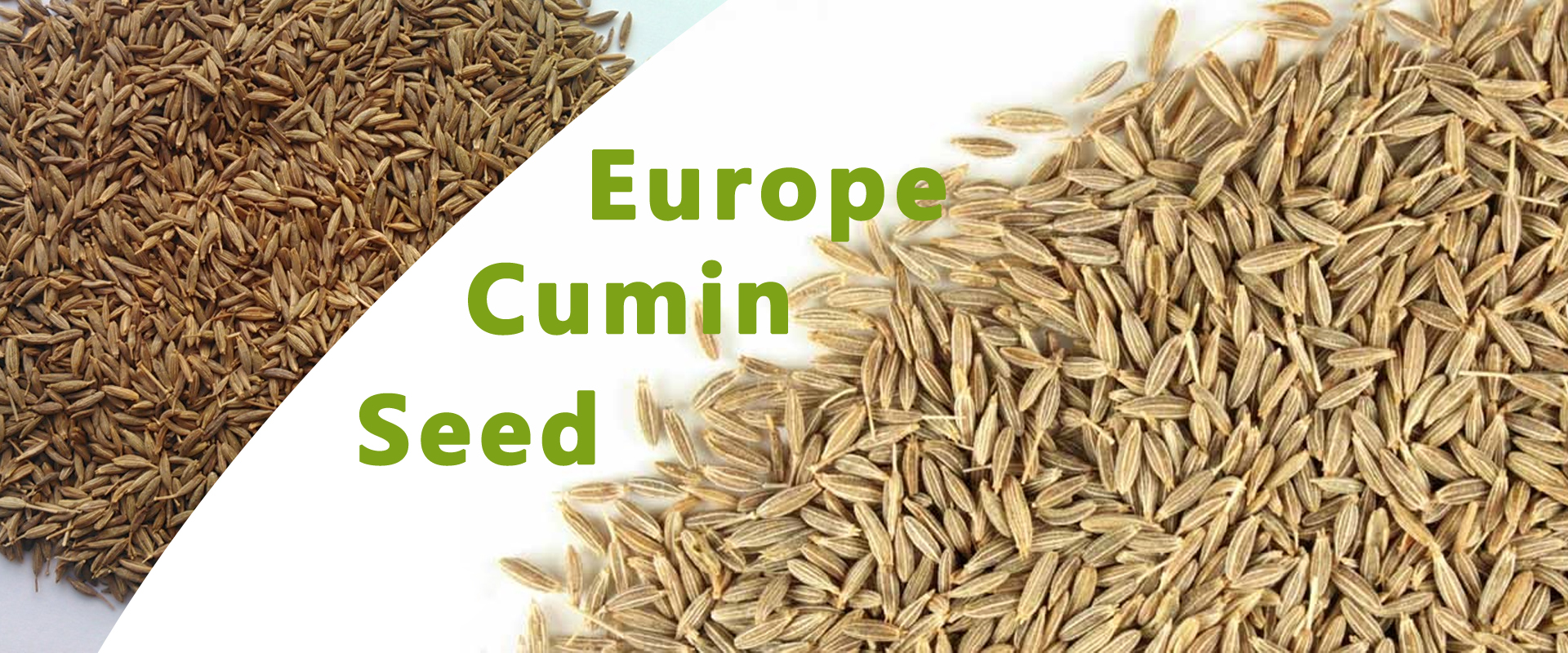 Europe Cumin Seed