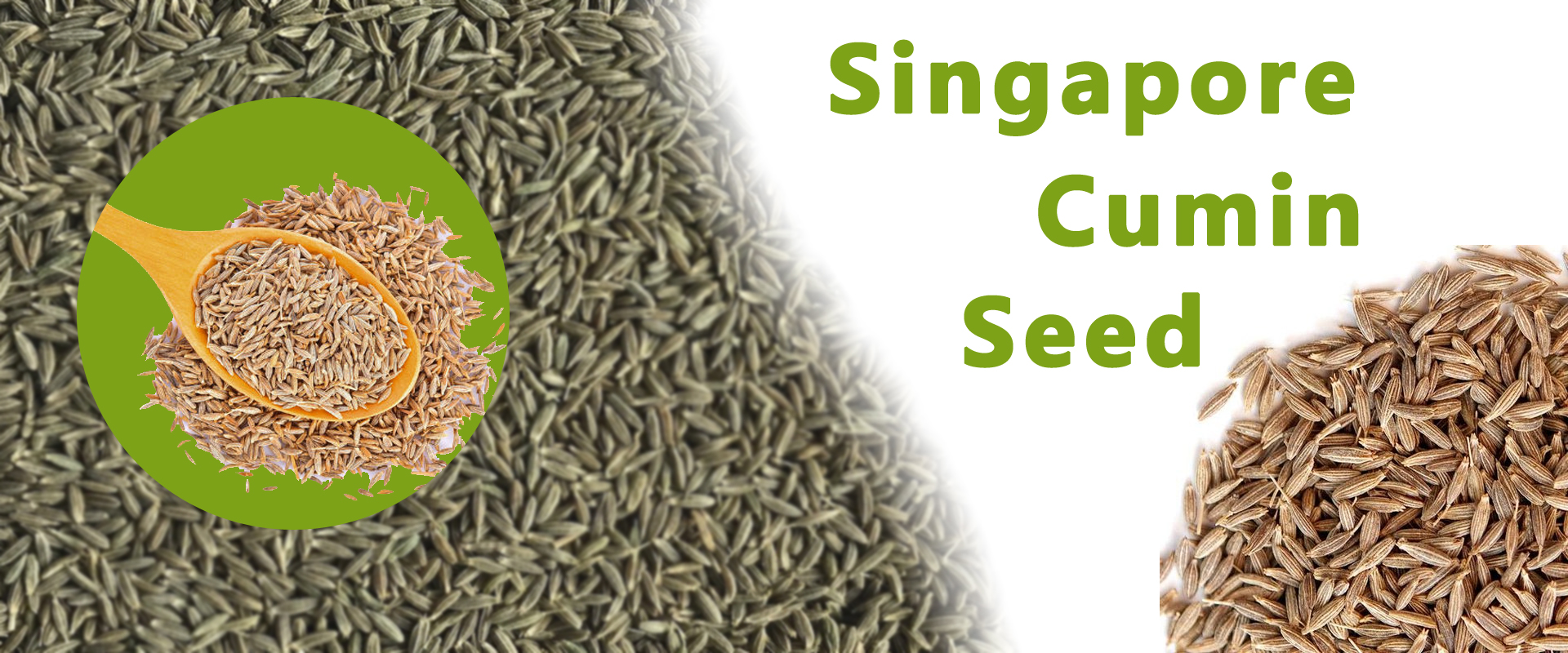 Singapore Cumin Seed