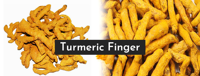 Turmeric Finger 