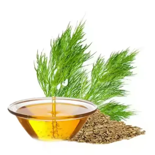 Dill Seed Oleoresin Manufacturers  In Defence Colony