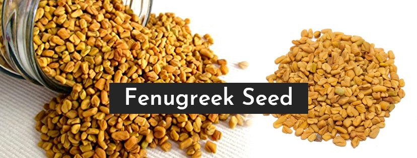 Fenugreek Seed Manufacturers  In Kurnool