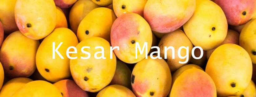 Kesar Mango Manufacturers  In Leicester