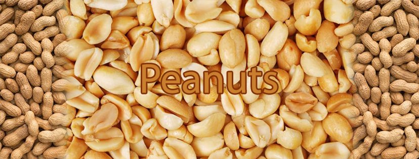 Peanut Manufacturers  In Chittoor